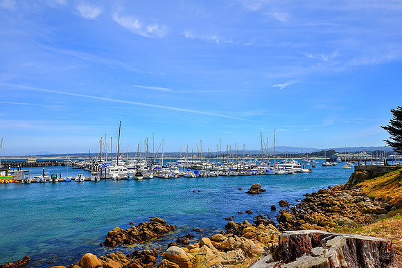 Monterey Harbor