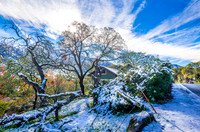 Snowy House 1