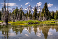 Schwabacher Landing Morning 2