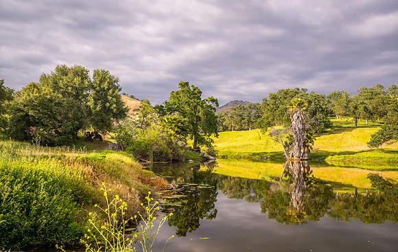 Lake North 1