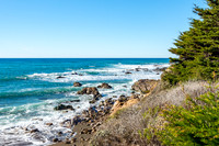 Cambria Beach with Evergreens