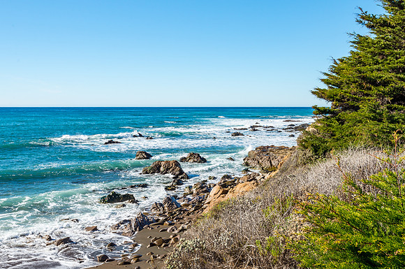 Cambria Beach with Evergreens