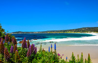 Colorful Carmel Beach II