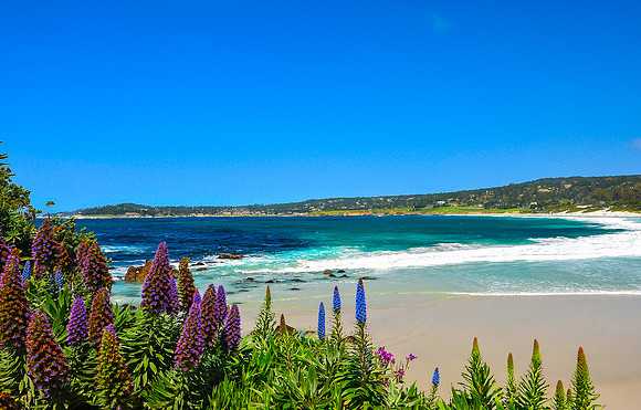 Colorful Carmel Beach II