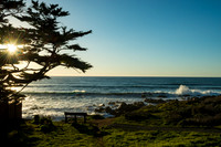Cambria Starburst