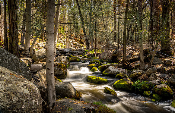 Nelson Trail 3