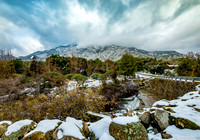Winter Scene