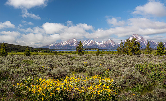 Jackson Lake 3