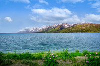 Jackson Lake 6