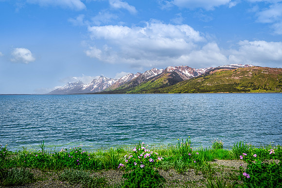 Jackson Lake 6