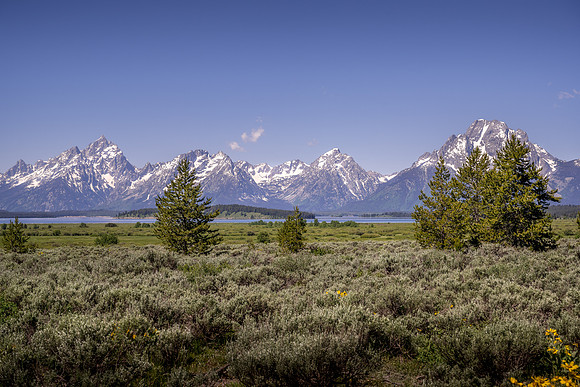 Jackson Lake 4