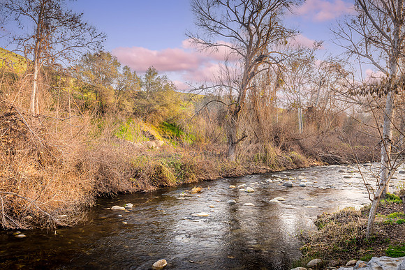 Backyard River 1