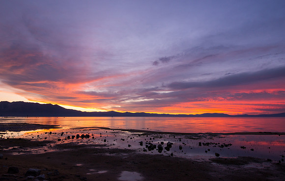 Tahoe Pink Sunset