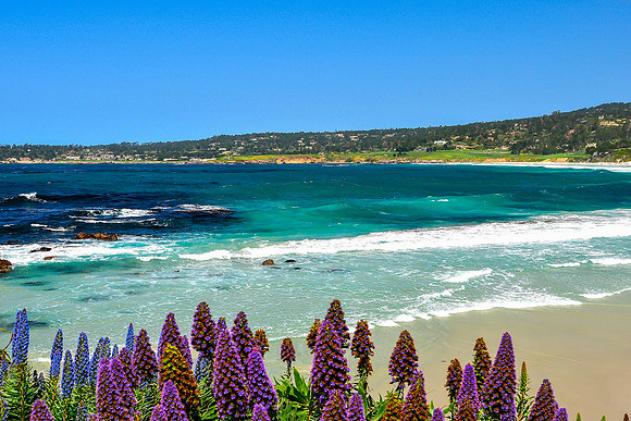 Carmel Beach
