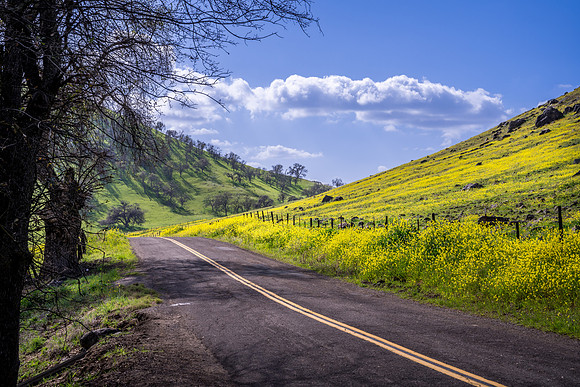 Yokohl Valley 3