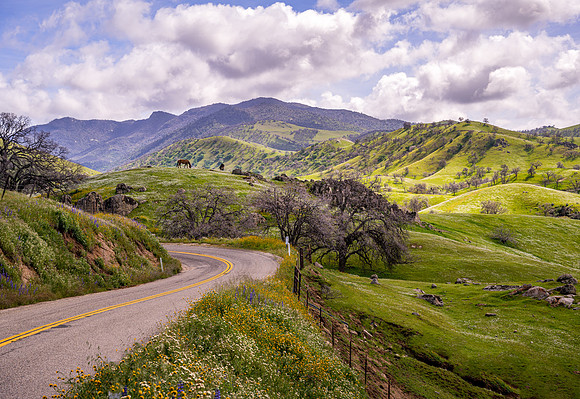Spring Winding Road