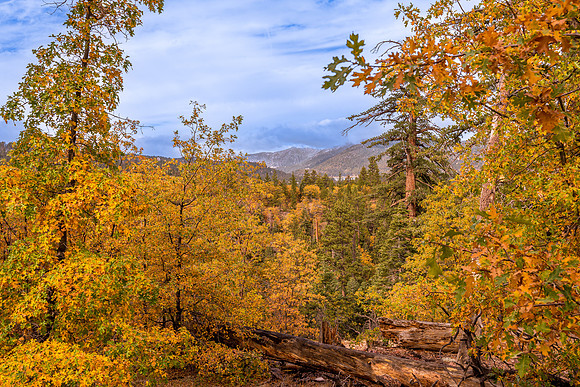 Big Bear Vista
