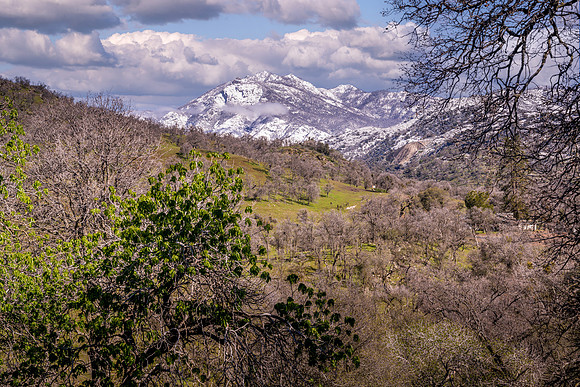 Mt. Dennison from Bear Creek Rd