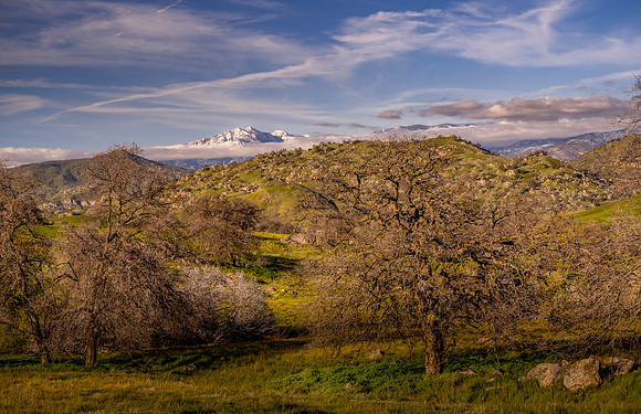 Sierra Oaks