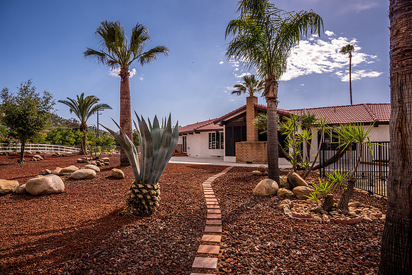 Backyard 6
