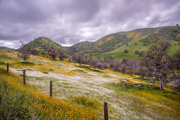 Yokohl Valley 1