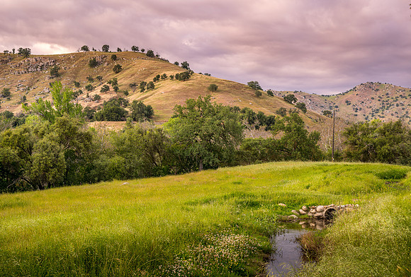 Creek