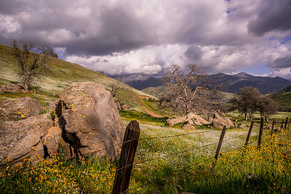 Yokohl Valley 6