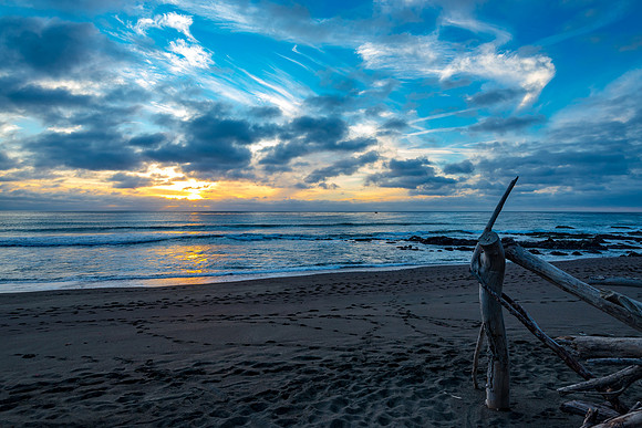 Cambria Driftwood Sunset