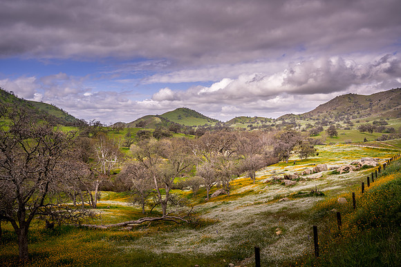 Yokohl Valley Spring II