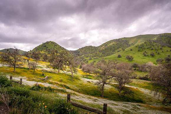 Yokohl Valley Spring III