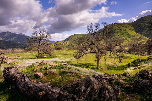 Yokohl Valley Spring VII