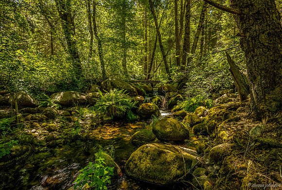 Tule River Nelson 4