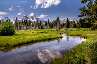 Schwabacher Landing Morning 5