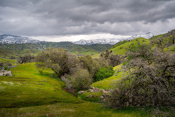 Early Spring_
