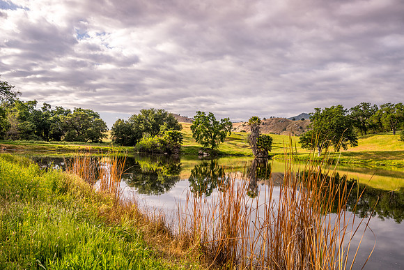 Lake Northwest 3
