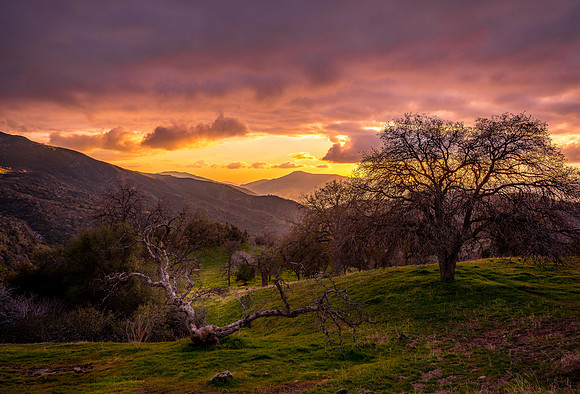 Foothill Sunset 2