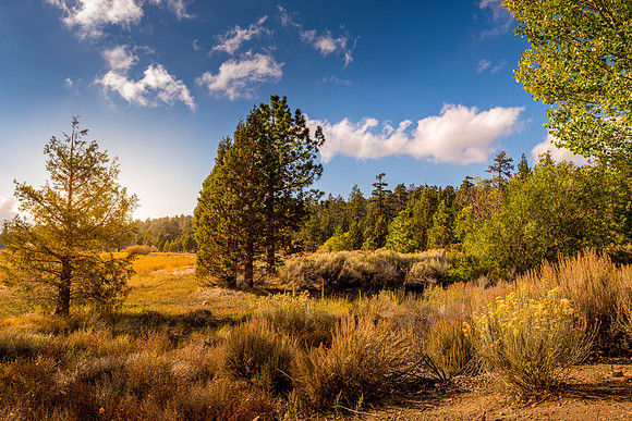 Golden Hour_