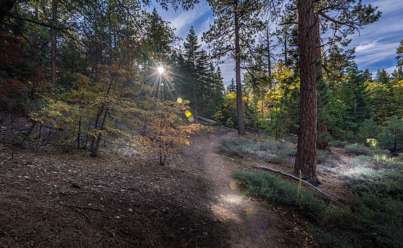 Big Bear Sunburst