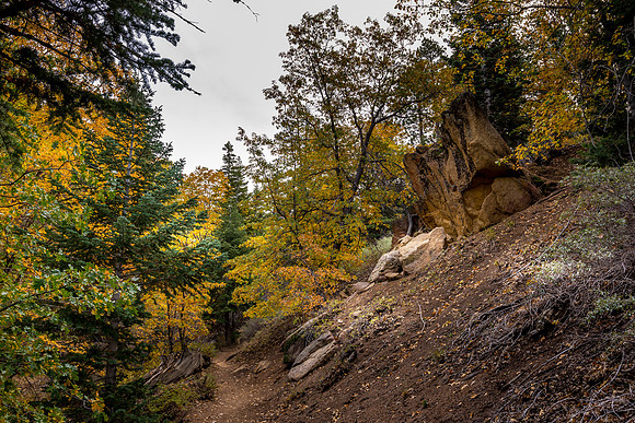 The Path II