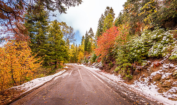 Balch Park Fall Snowliage