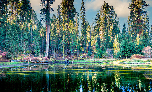 Balch Park Pond 4