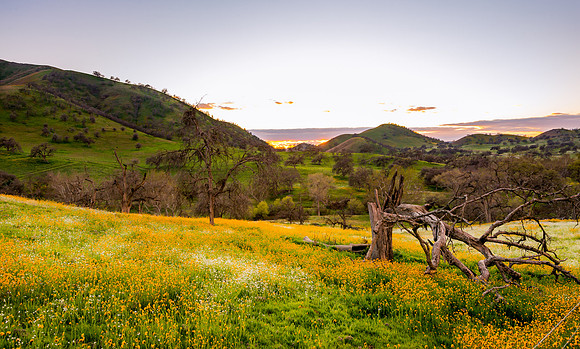 Yokohl Valley Spring