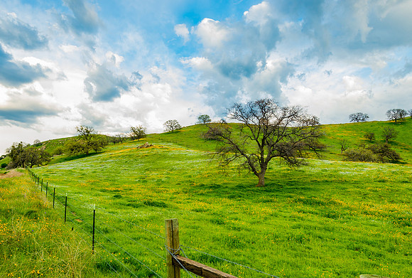 Kern County Spring