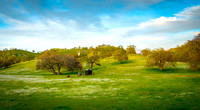 Old Stage Road Windmill II
