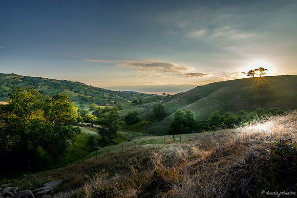 Foothill Sunburst