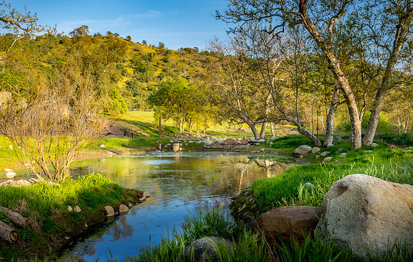 Pond