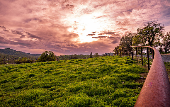 Pasture Sunset