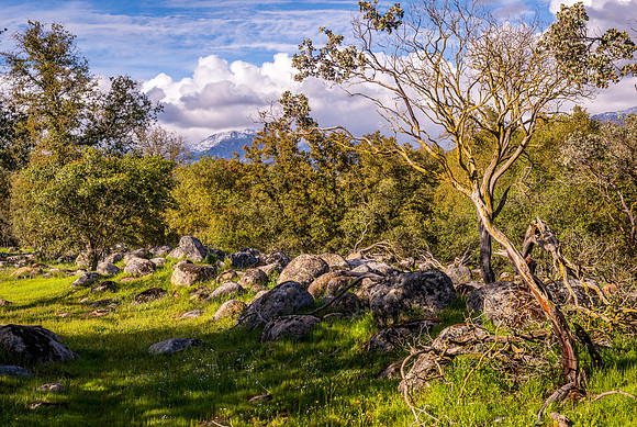Manzanita and Mt. Dennison