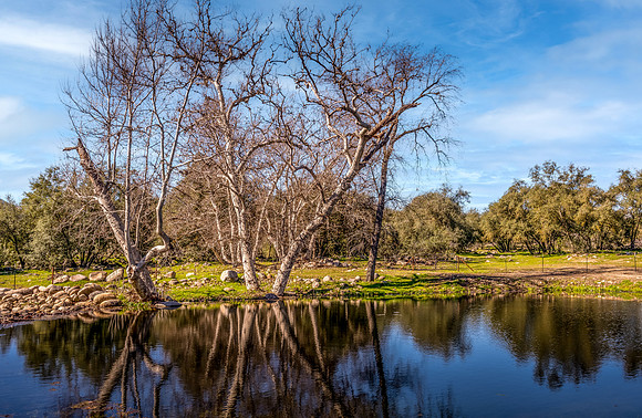 Pond West