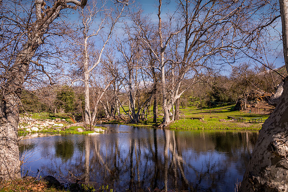 Pond North 2